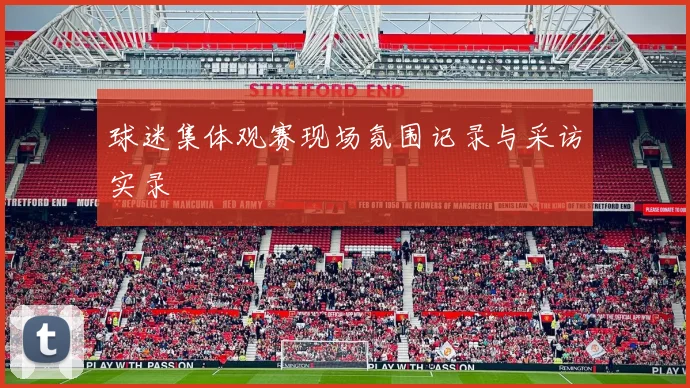 球迷集体观赛现场氛围记录与采访实录
