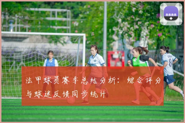 法甲球员赛季总结分析：综合评分与球迷反馈同步统计