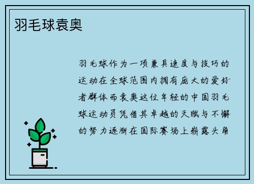 羽毛球袁奥